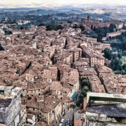 Siena 1989