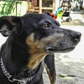 ronny 15653095552 o