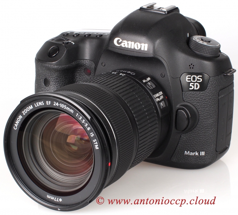 Canon 24-105 IS STM 7