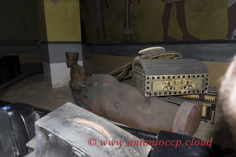  MG 3387