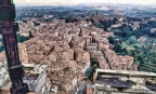 Siena 1989