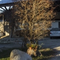  mg 0157 29852200074 o c